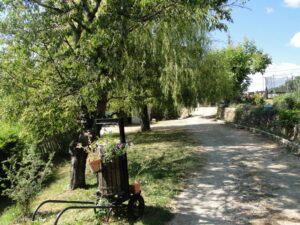 Accueil Gîtes des Lavandes